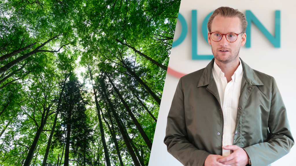 Skolon tar samlat grepp inom hållbarhet och blir medlem i UN Global Compact