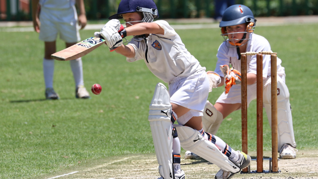 Cricket